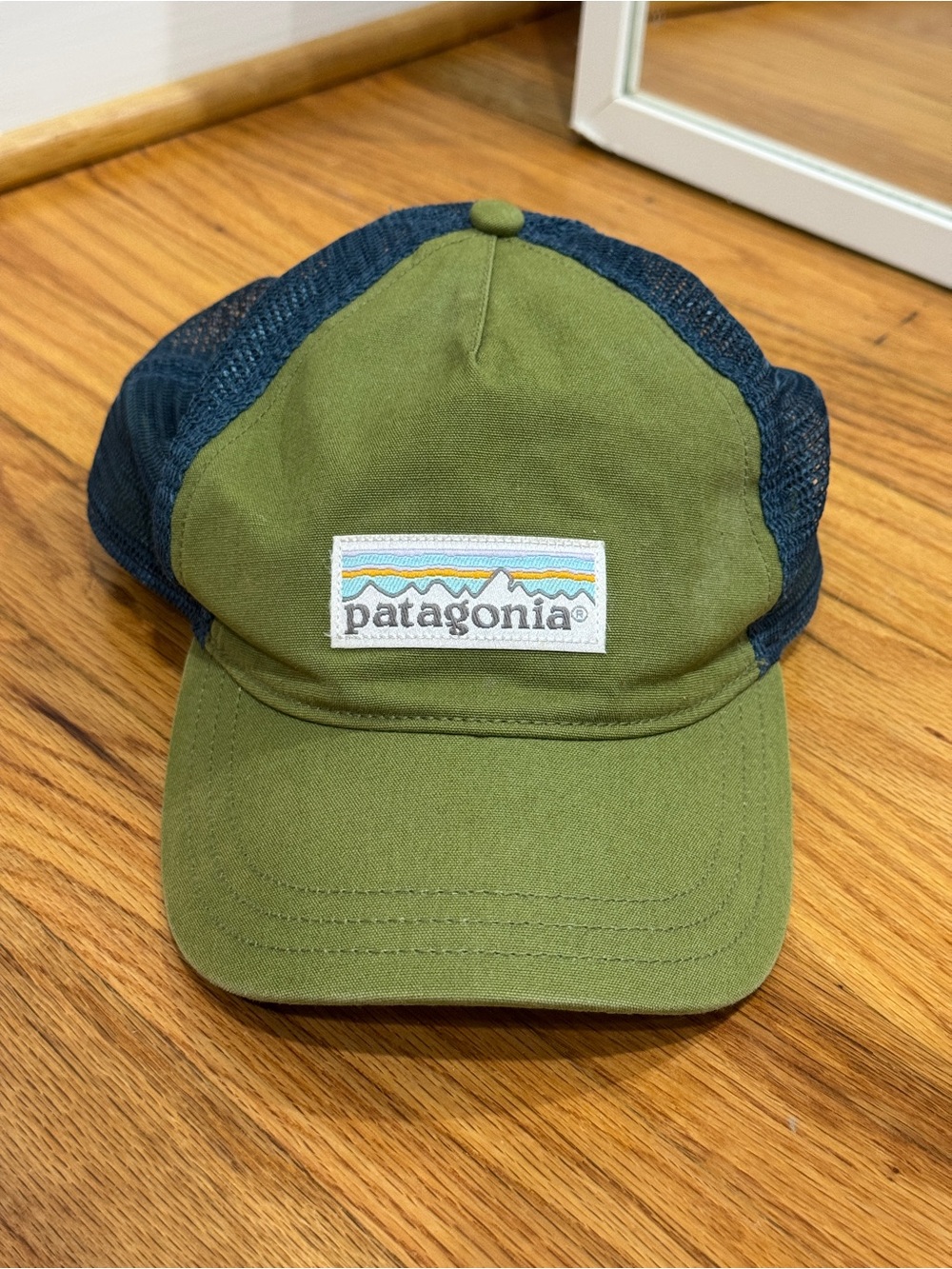 Patagonia Olive Green & Navy Hat